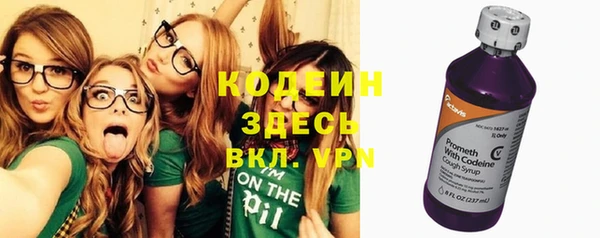spice Гусев