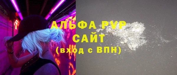 PSILOCYBIN Гусиноозёрск