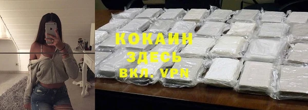 spice Гусев