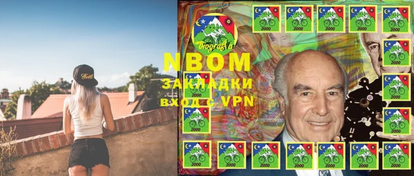 бошки Дмитров