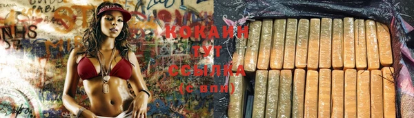 spice Гусев