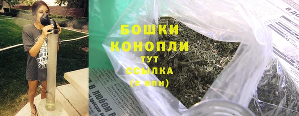 PSILOCYBIN Гусиноозёрск