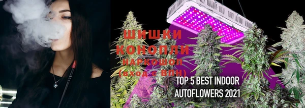 PSILOCYBIN Гусиноозёрск