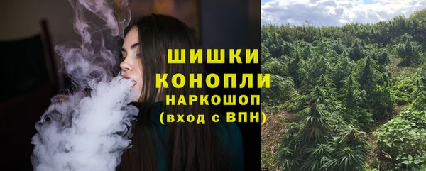 spice Гусев