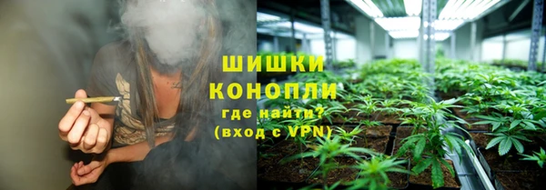 spice Гусев