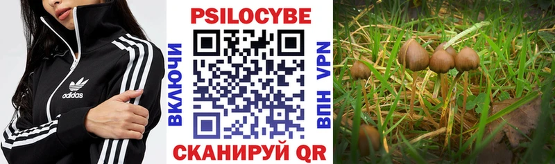 Псилоцибиновые грибы MAGIC MUSHROOMS  Купить  Каменногорск 